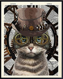 Steampunk Taucher Katze Bild